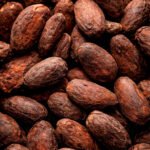 Cacao