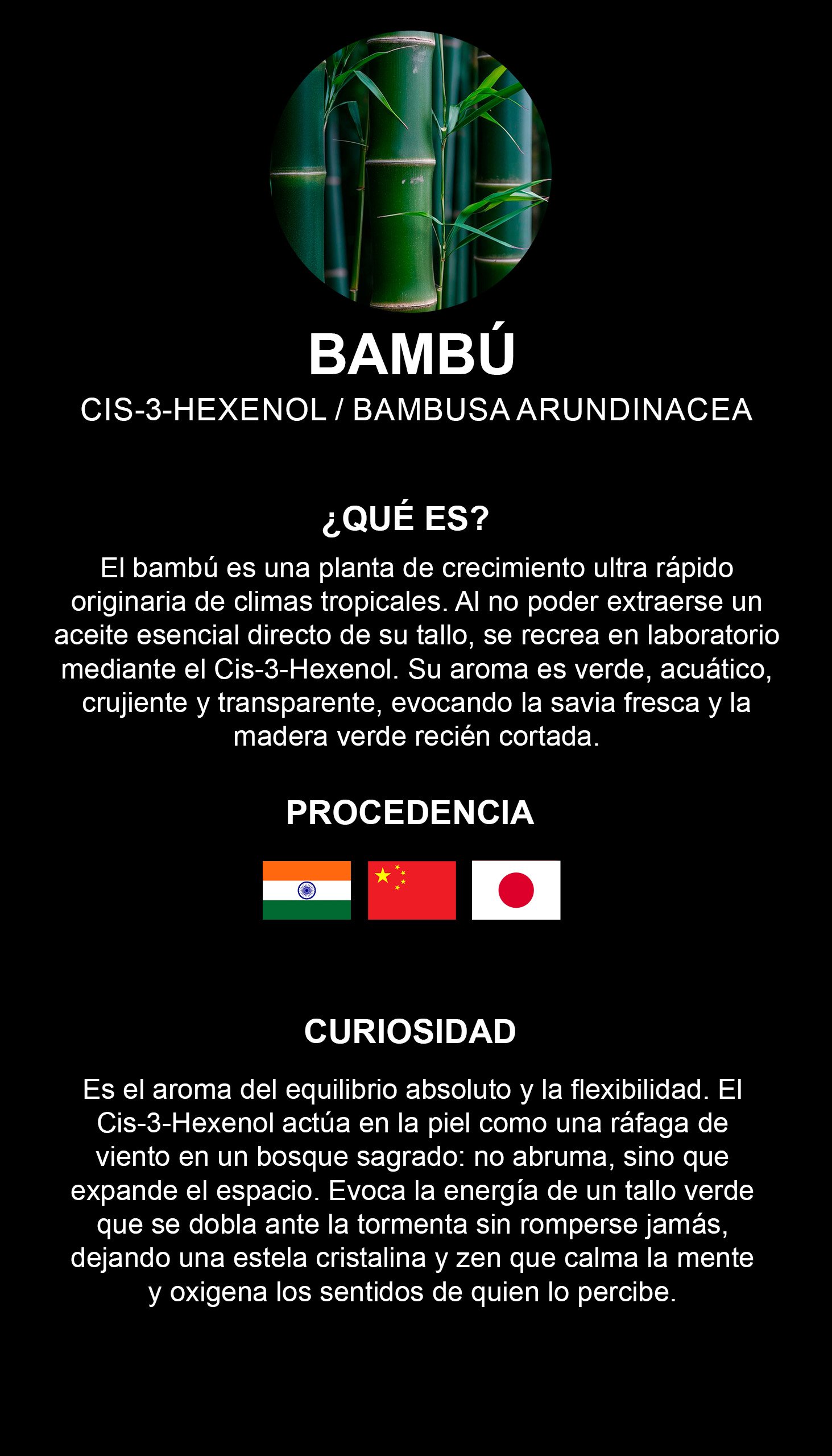 Bambù