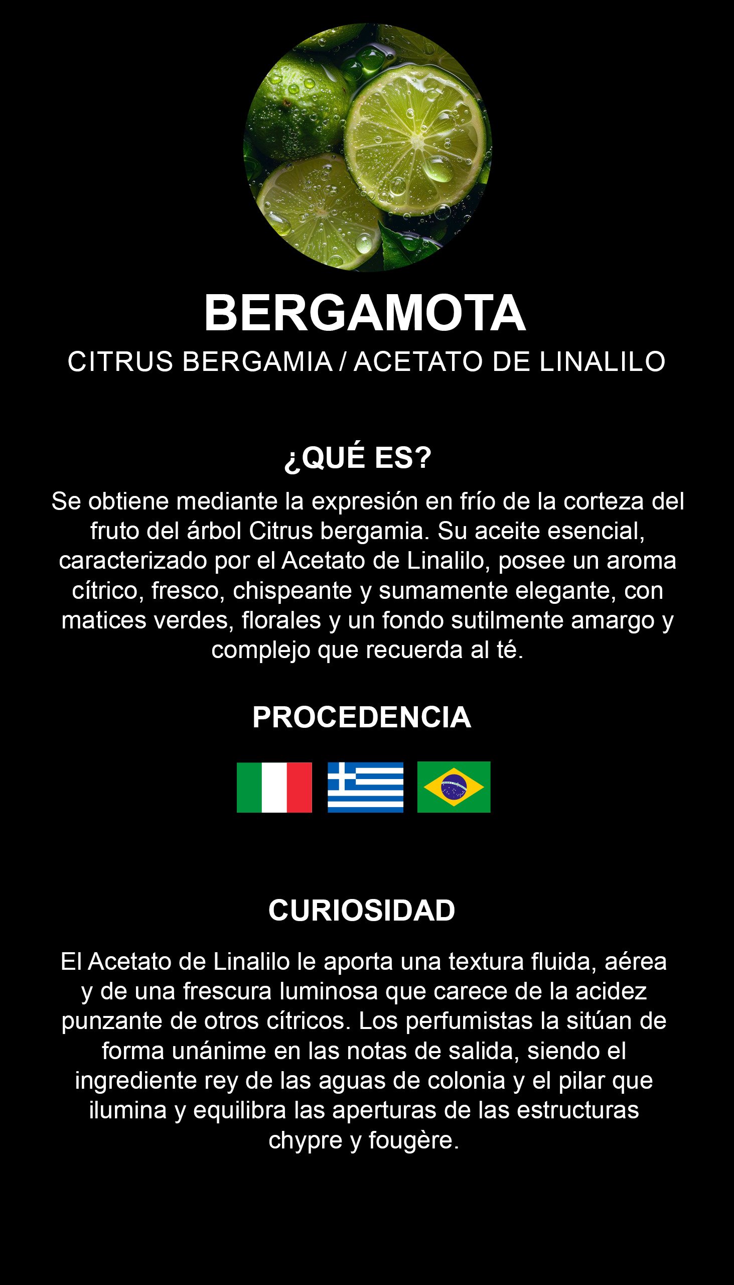 Bergamota