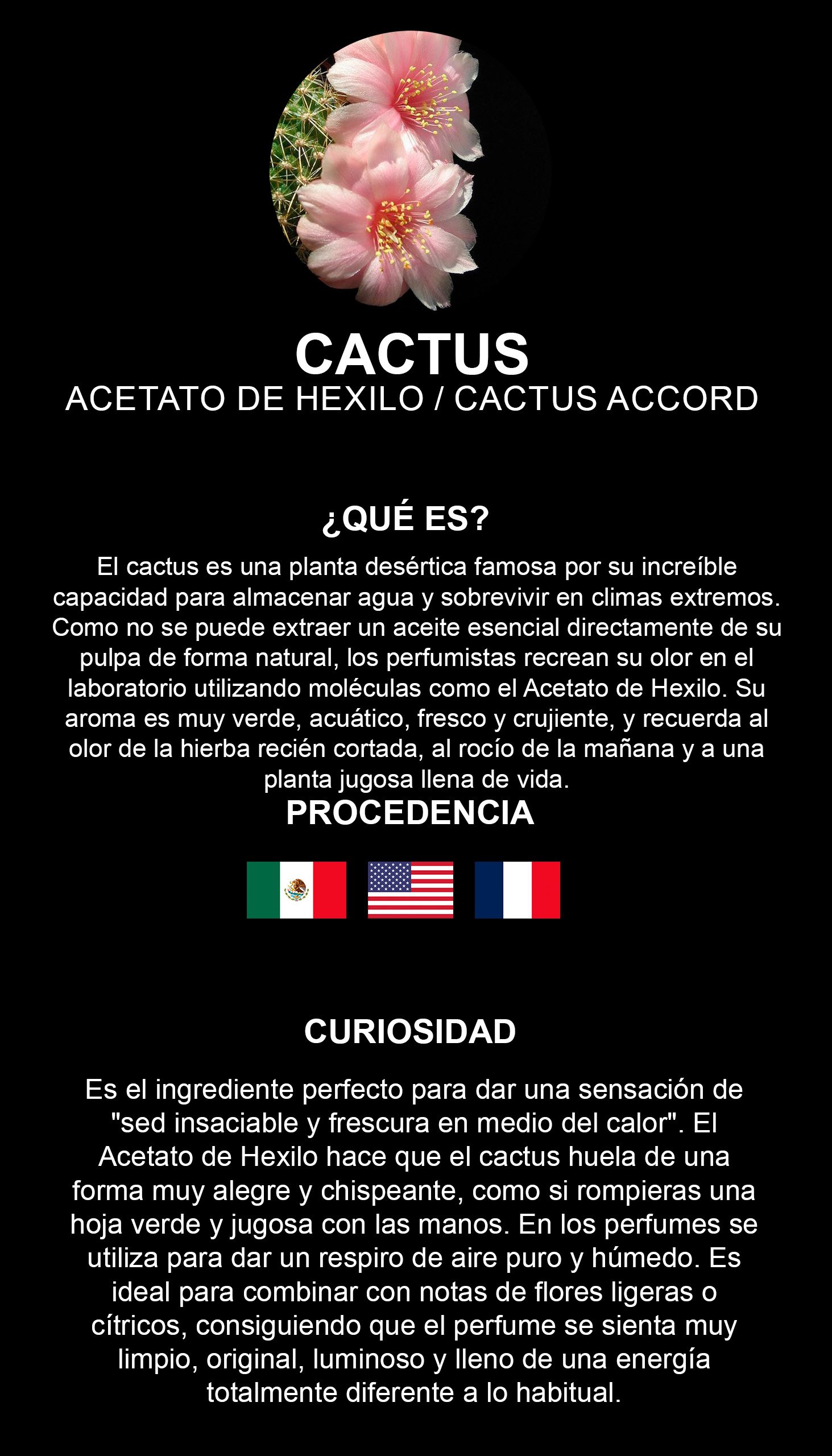 Flor De Cactus