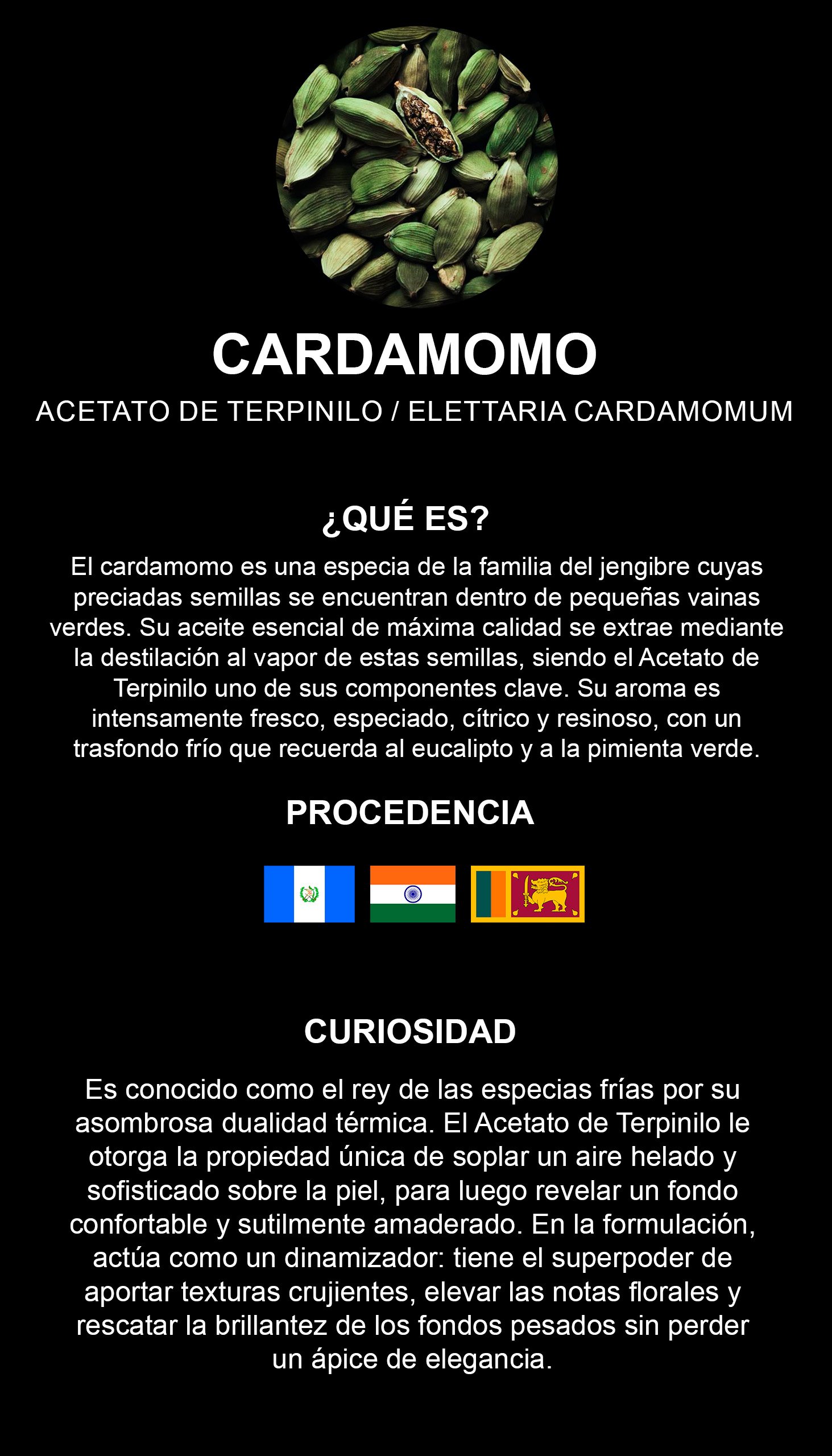 Cardamomo