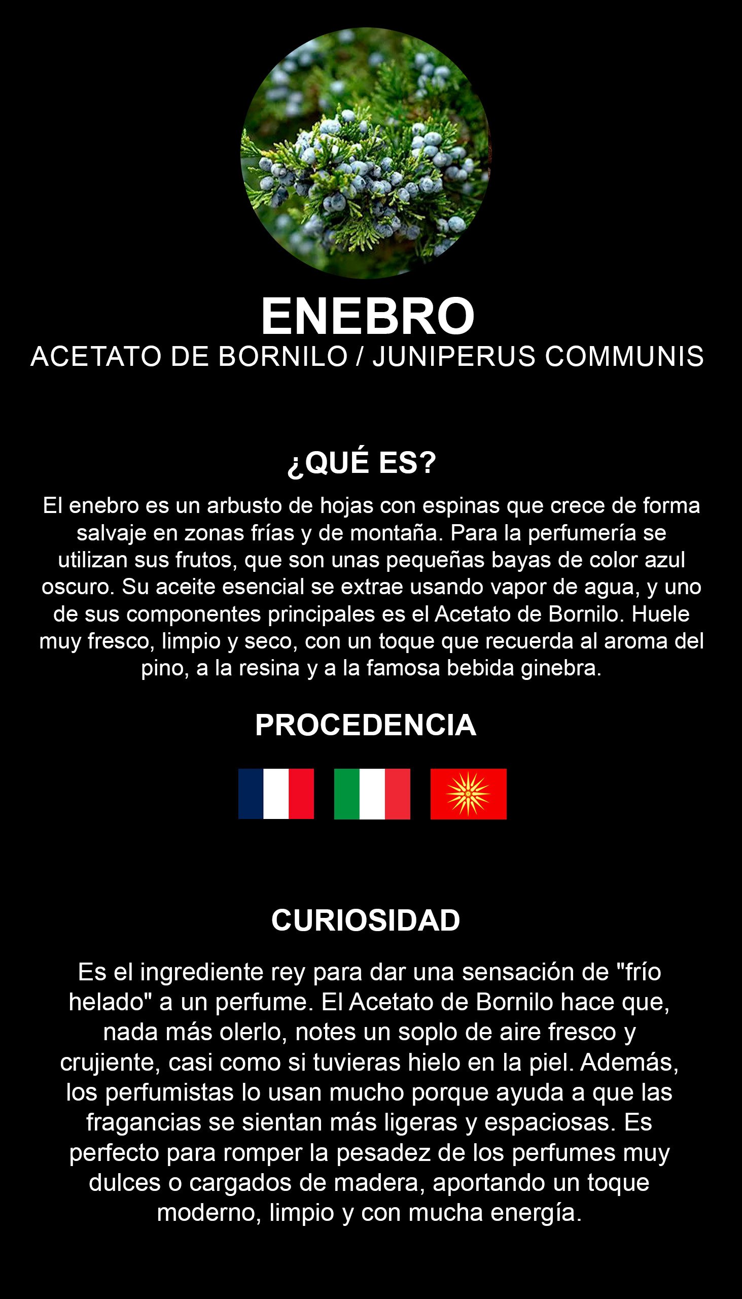 Enebro De Virginia