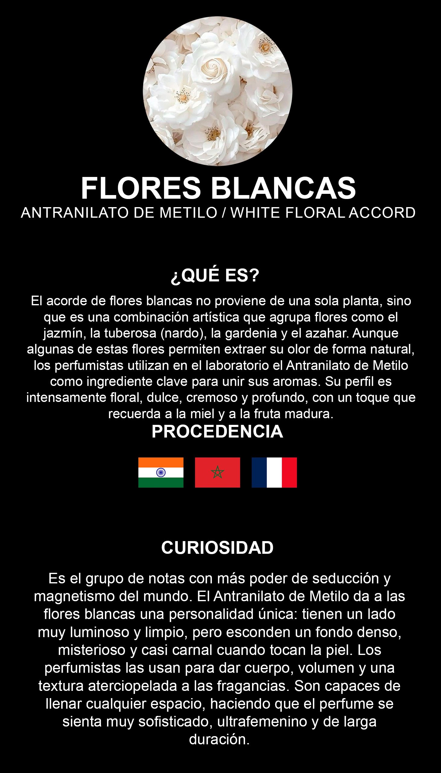 Flores Blancas