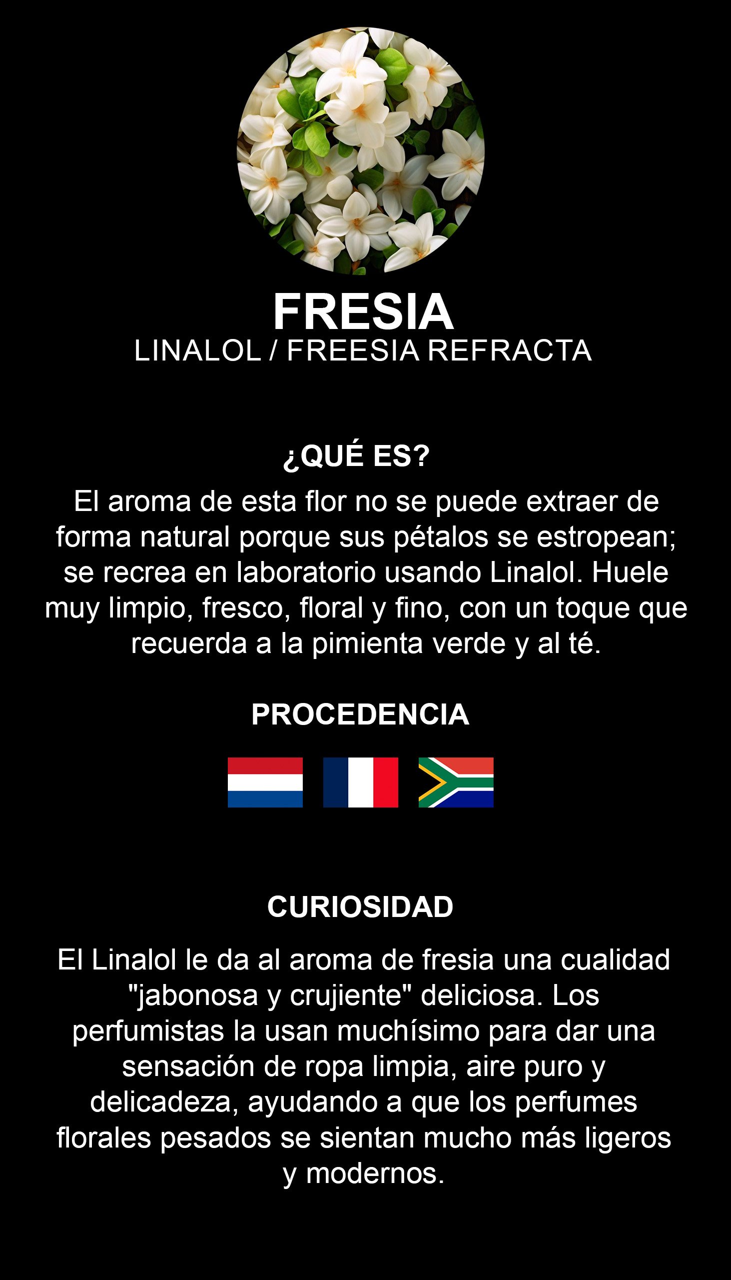 Fressia