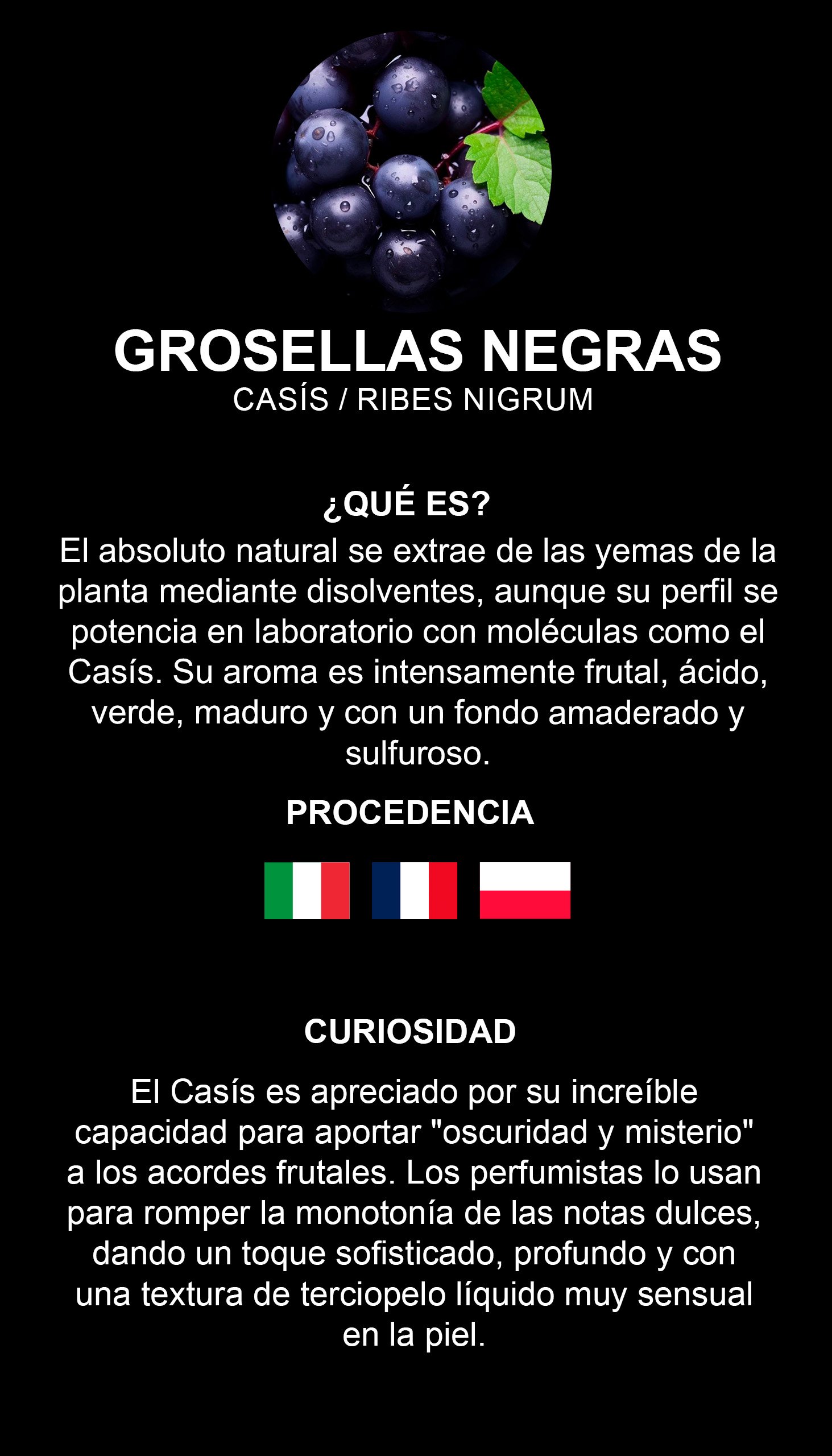 Grosellas Negras