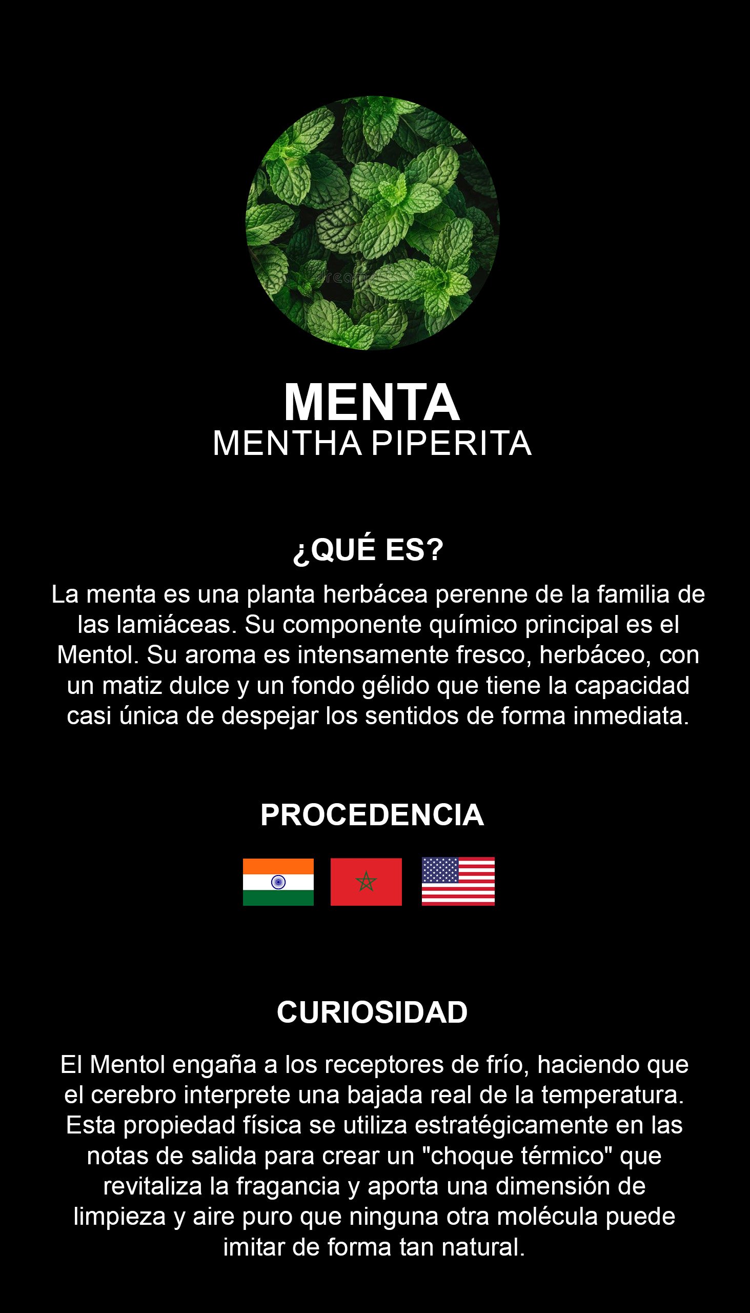 Menta