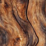 Caoba