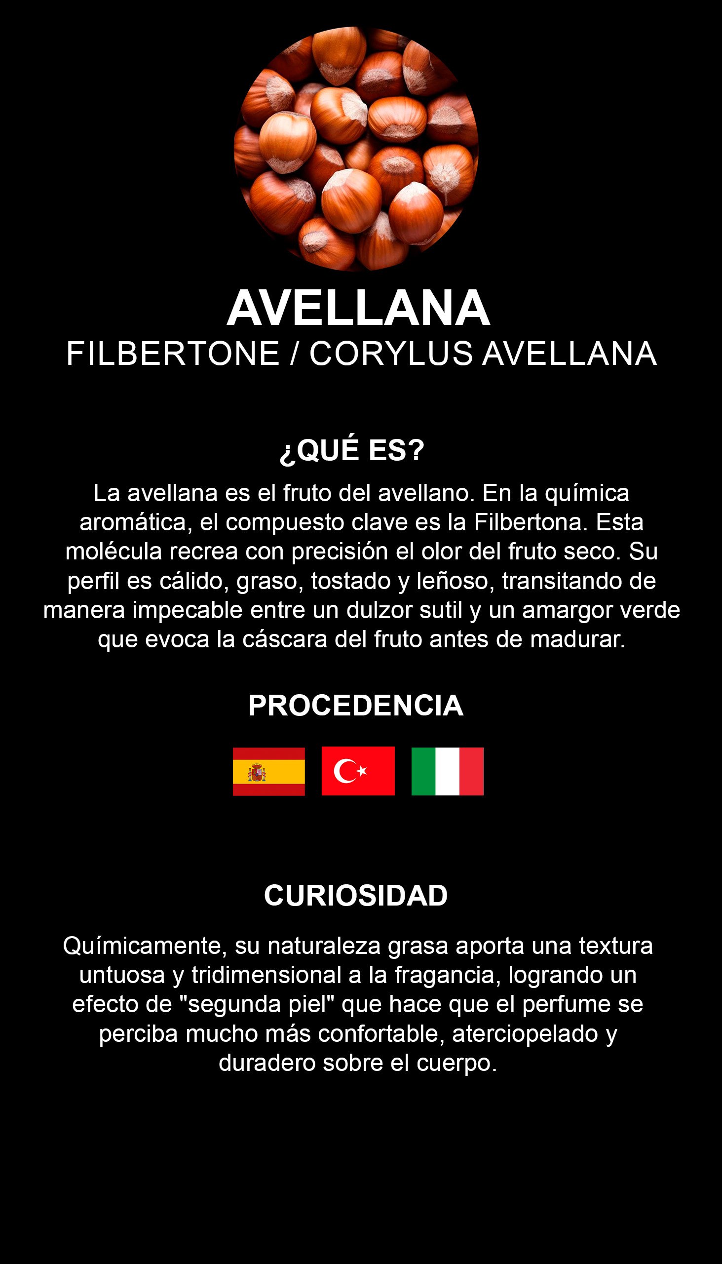 Avellana