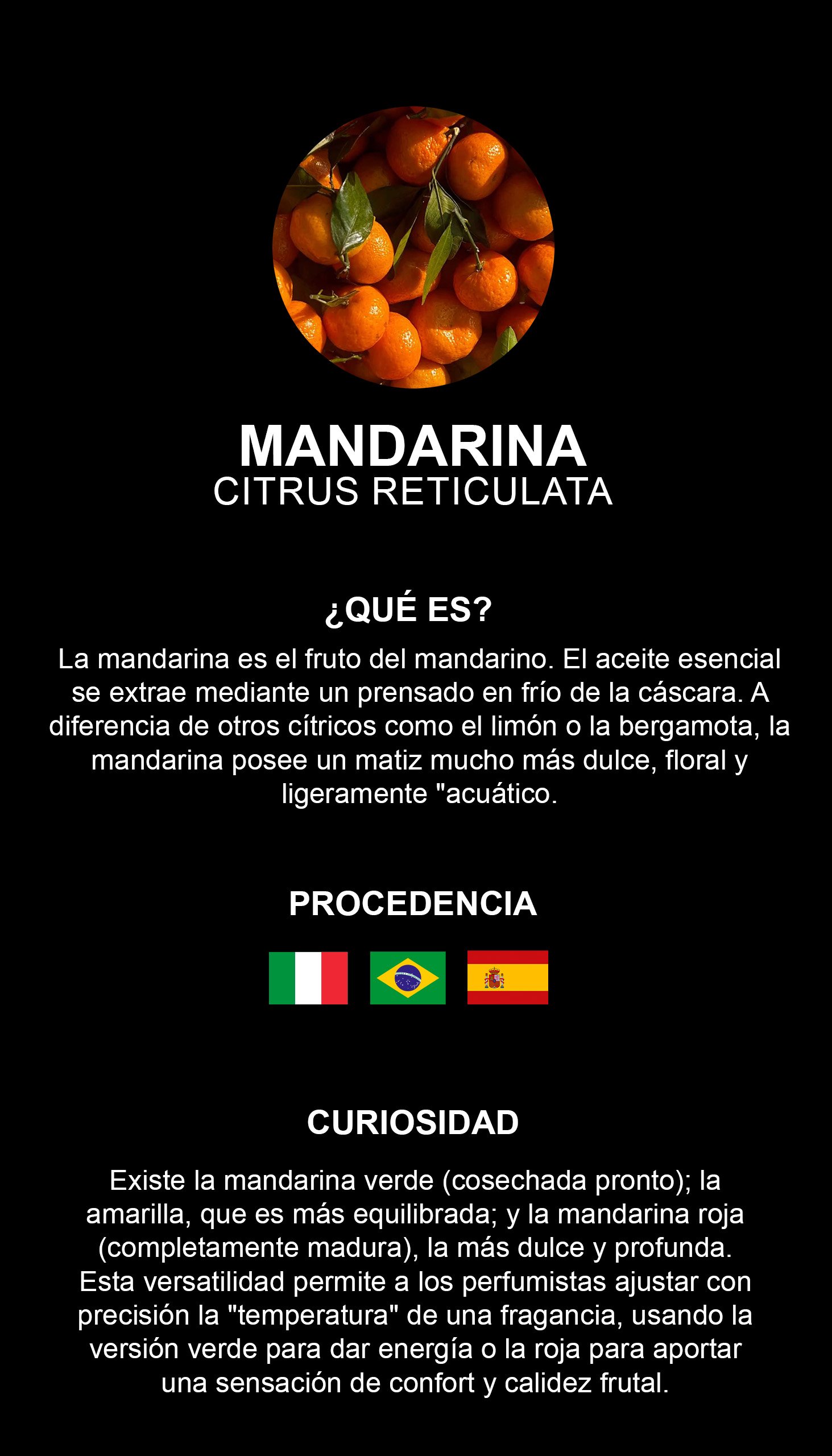 Mandarina