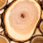 Madera De Cachemira