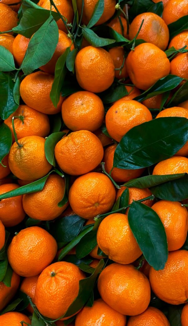 Mandarina