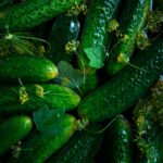 Pepino